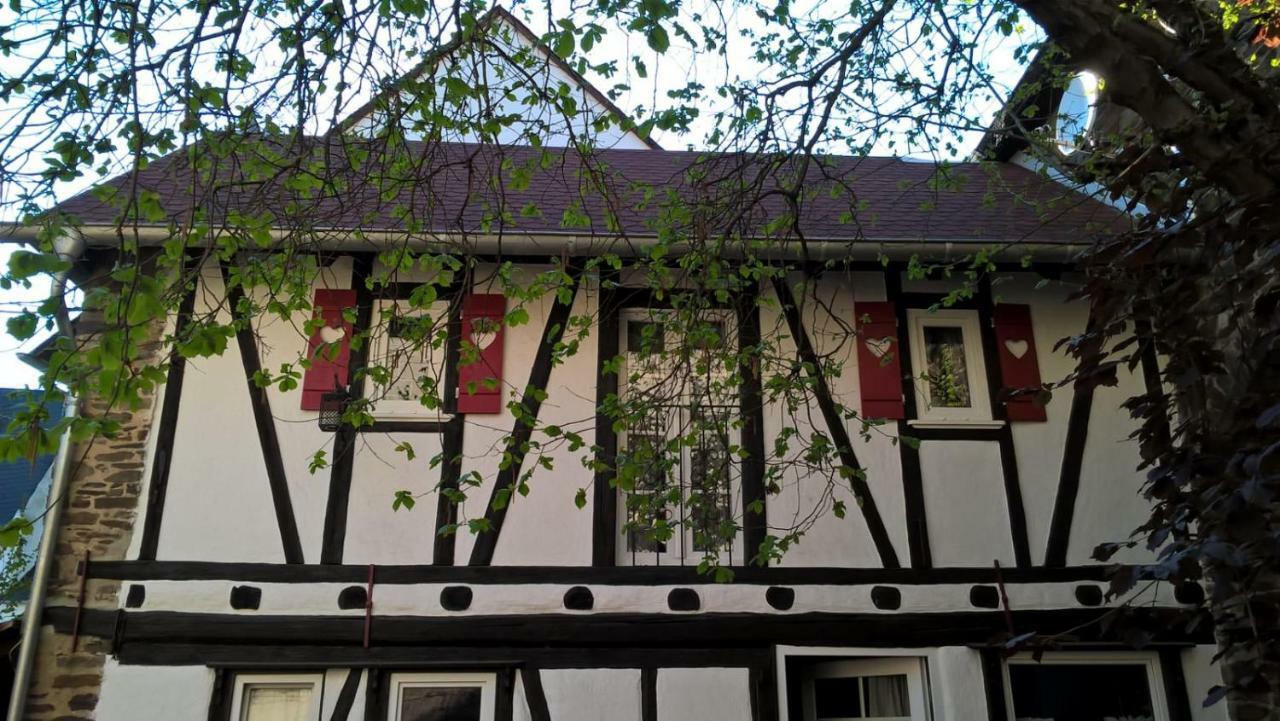 Alter Winzerhof Villa Hatzenport Bagian luar foto